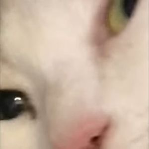 Meet your Posher, Alberto